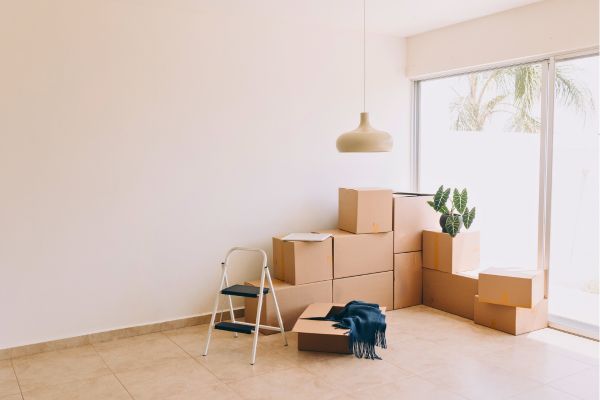 appartement vide cartons
