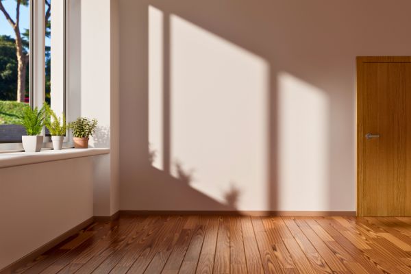 appartement vide