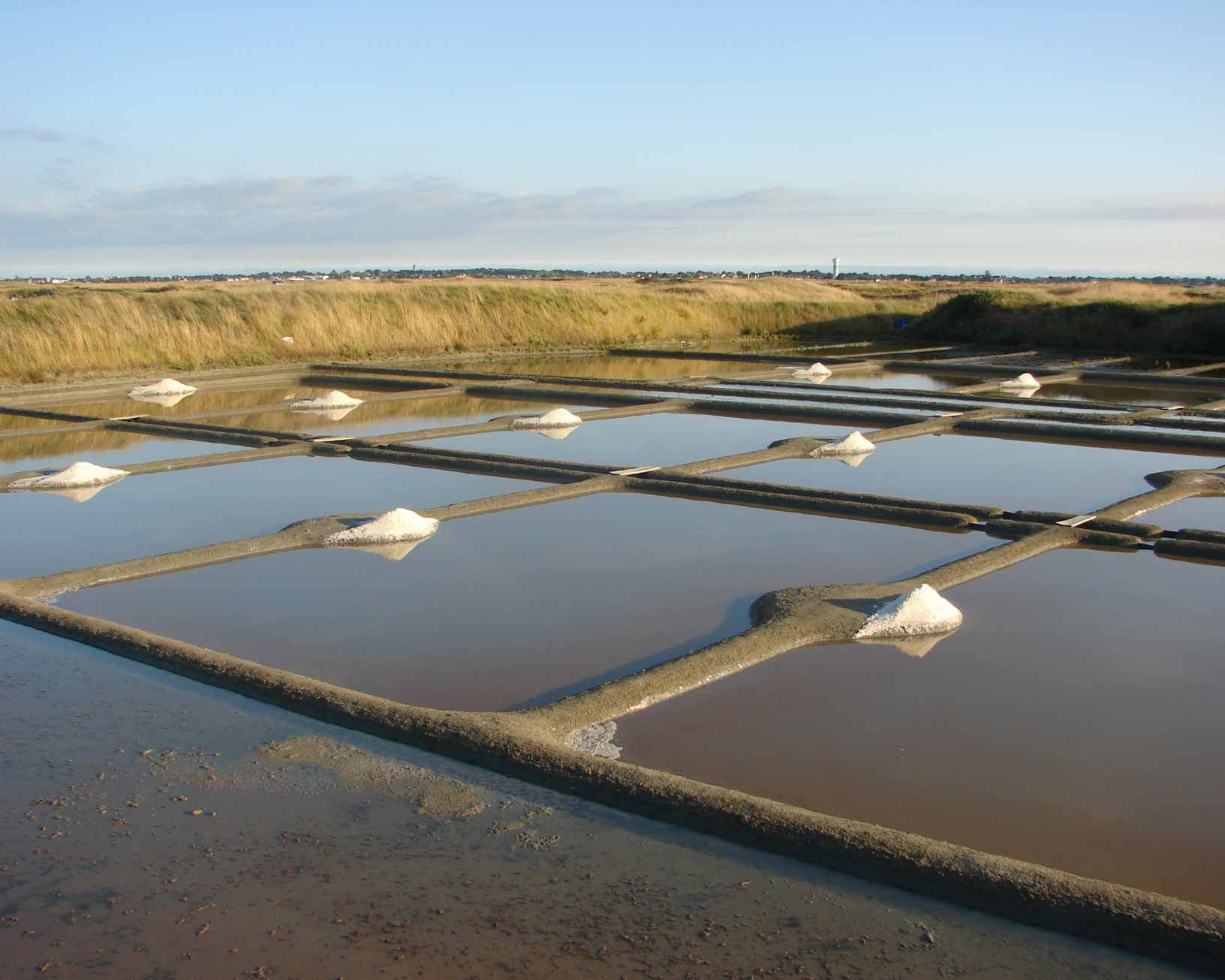 marais salants de guerande environnement naturel preserve transaction guerande biodiversit 5x4