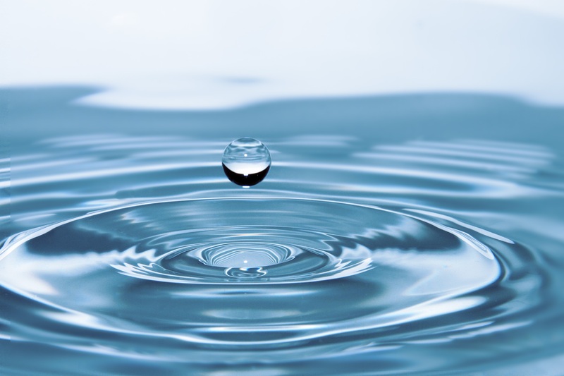 water nature drop liquid petal drops of water 768091 pxhere.com